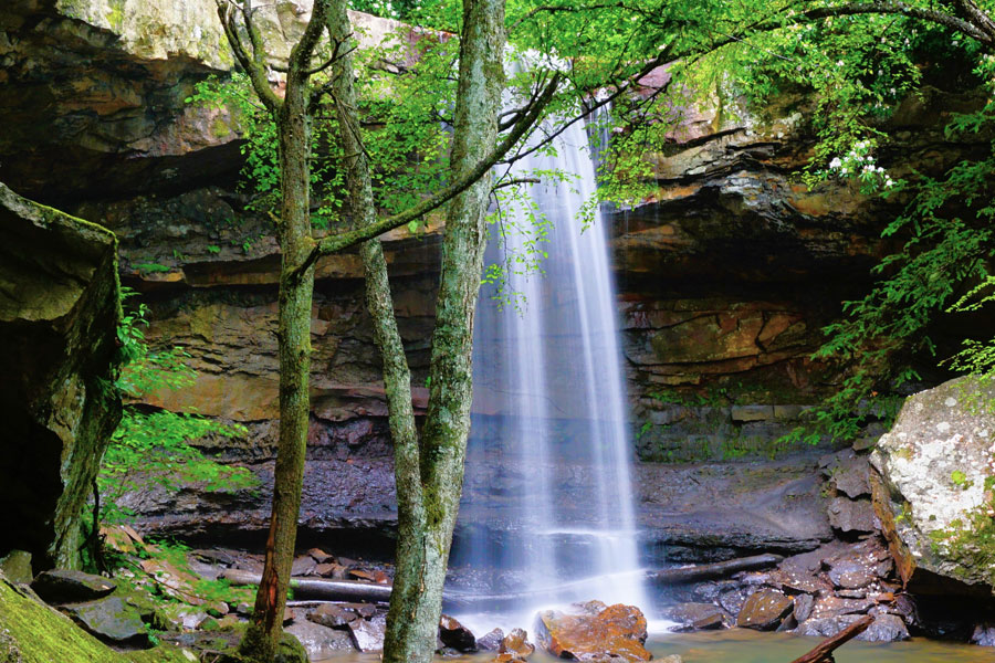 Cucumber Falls photo